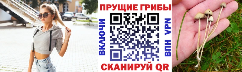 Галлюциногенные грибы GOLDEN TEACHER  продажа наркотиков  Еманжелинск 