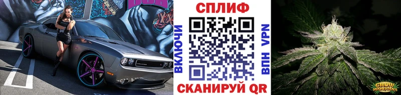 кракен ССЫЛКА  даркнет сайт  Еманжелинск  Шишки марихуана THC 21% 